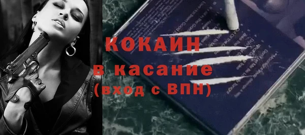 мдпв Лагань