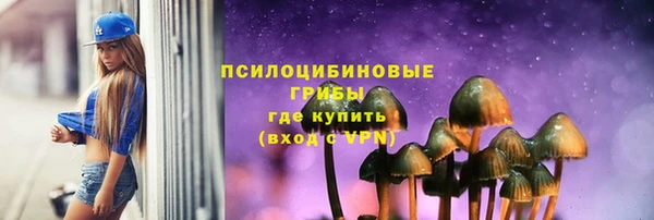 СК Вяземский