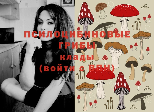 таблы Вязьма