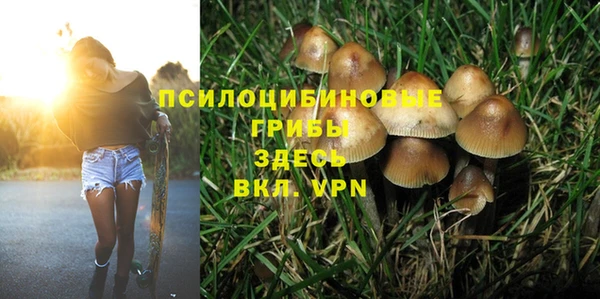 СК Вяземский