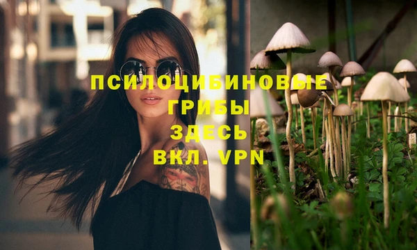 СК Вяземский