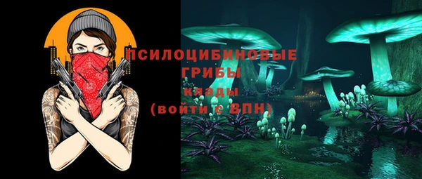 СК Вяземский