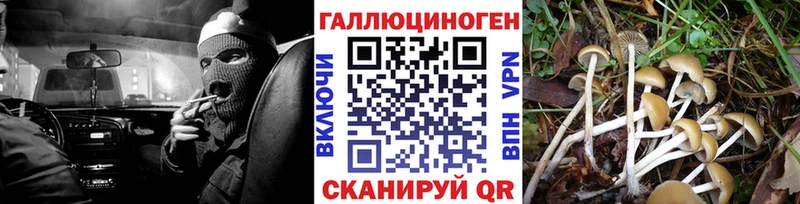 Галлюциногенные грибы мицелий  Можга 