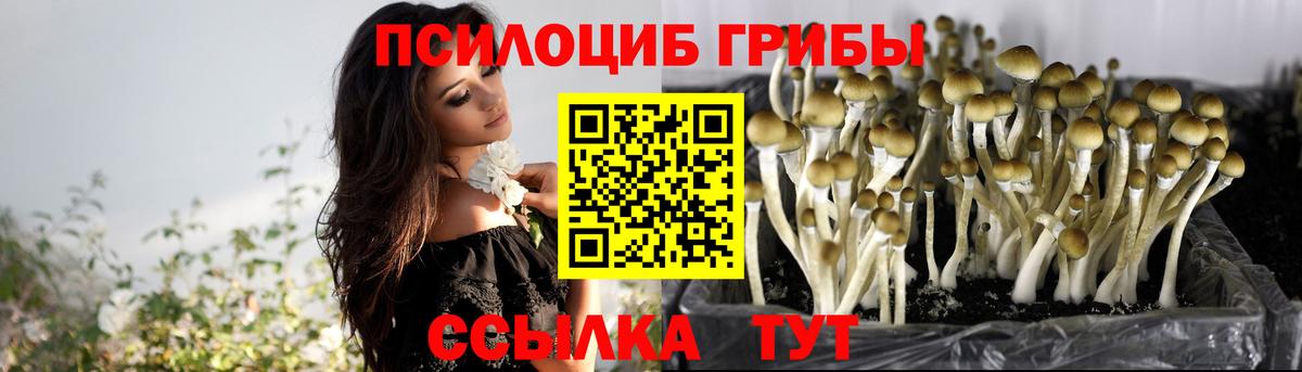 Галлюциногенные грибы ЛСД  Вход с VPN  Галлюциногенные грибы Psilocybine cubensis  Можга 